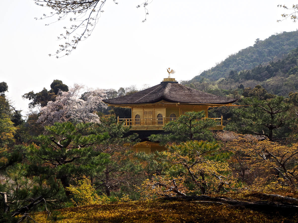 Kinkaku-ji Temple (The Golden Pavilion)