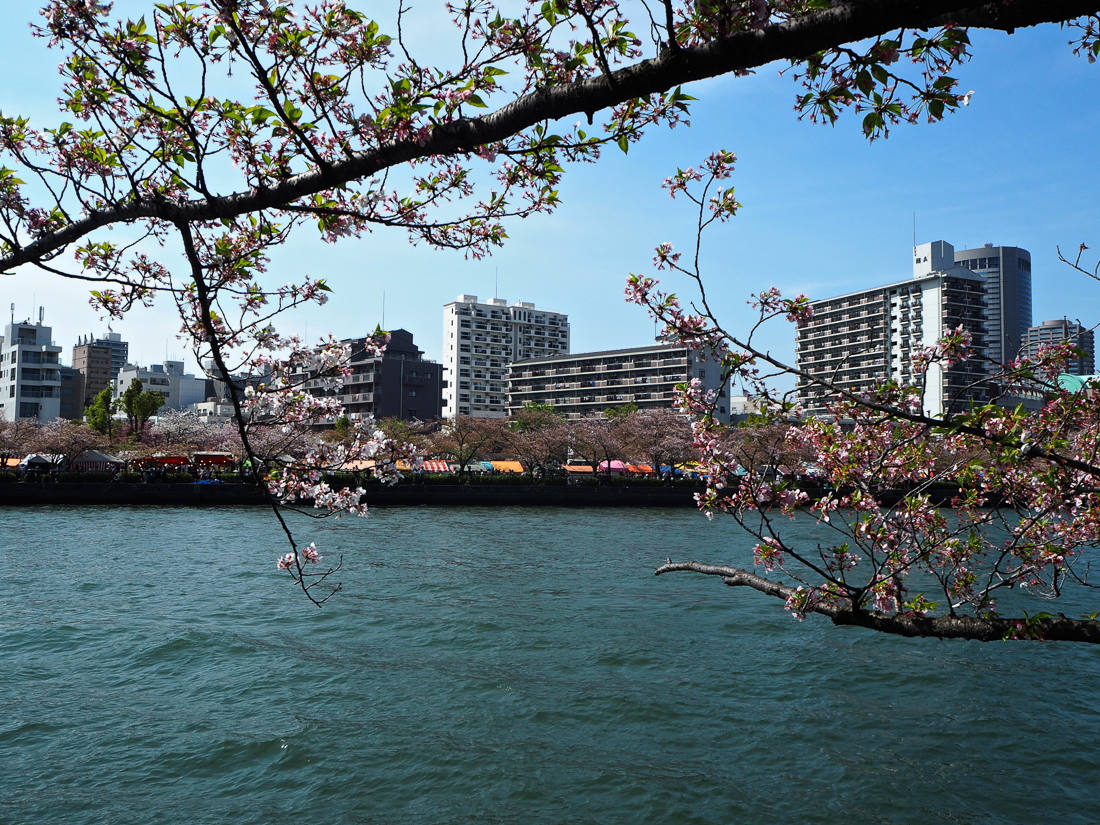 Top 5 Must-See Sights In Osaka, Japan