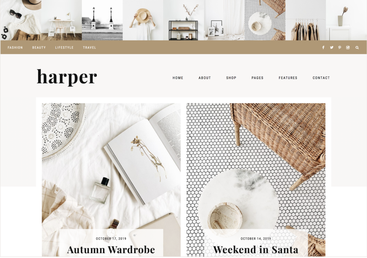 Best WordPress Themes for Fashion Blogs
