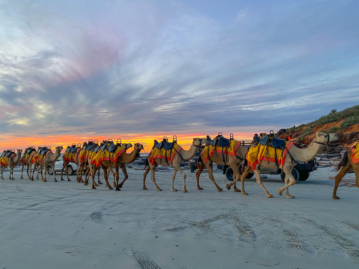 Cable Beach Broome Camel Ride