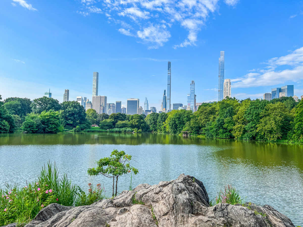 Best Things to Do in New York Central Park