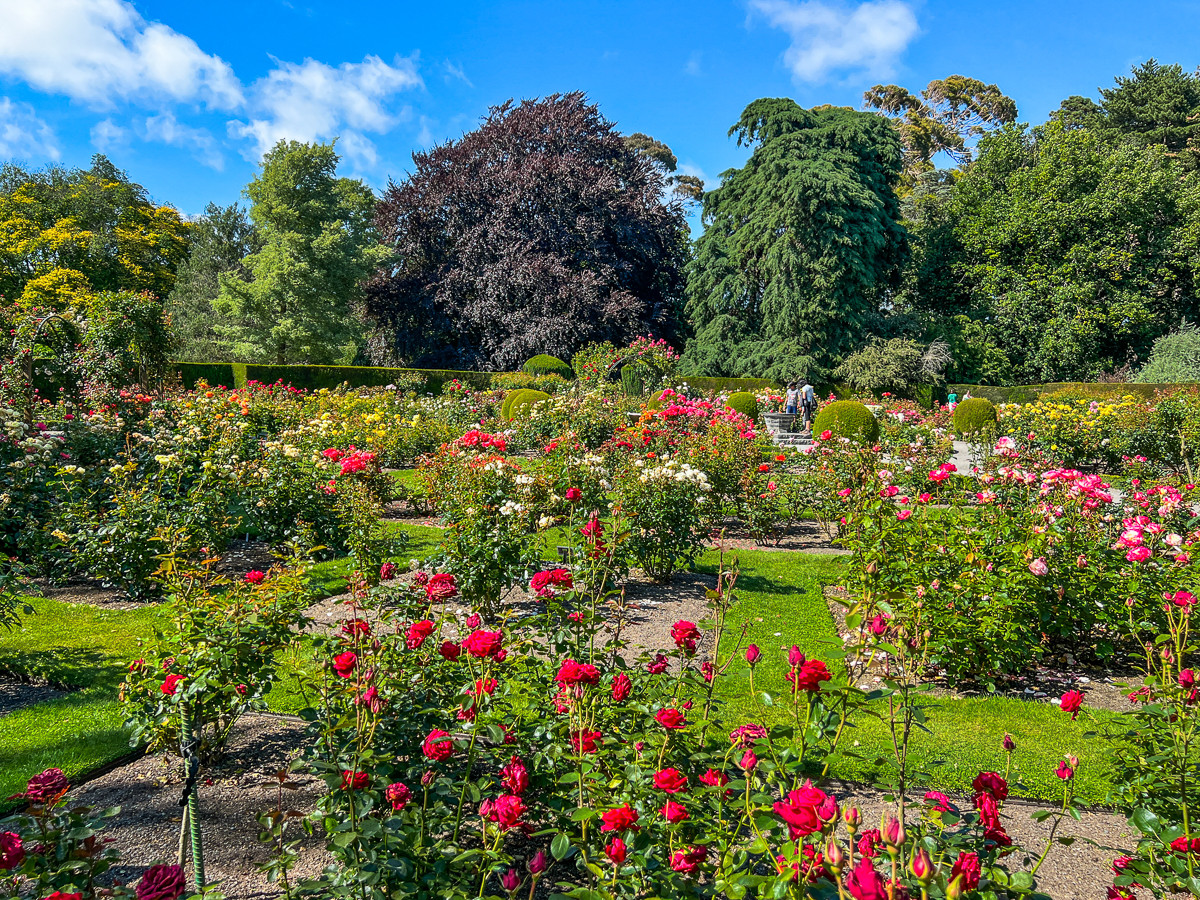 Christchurch Botanic Gardens New Zealand