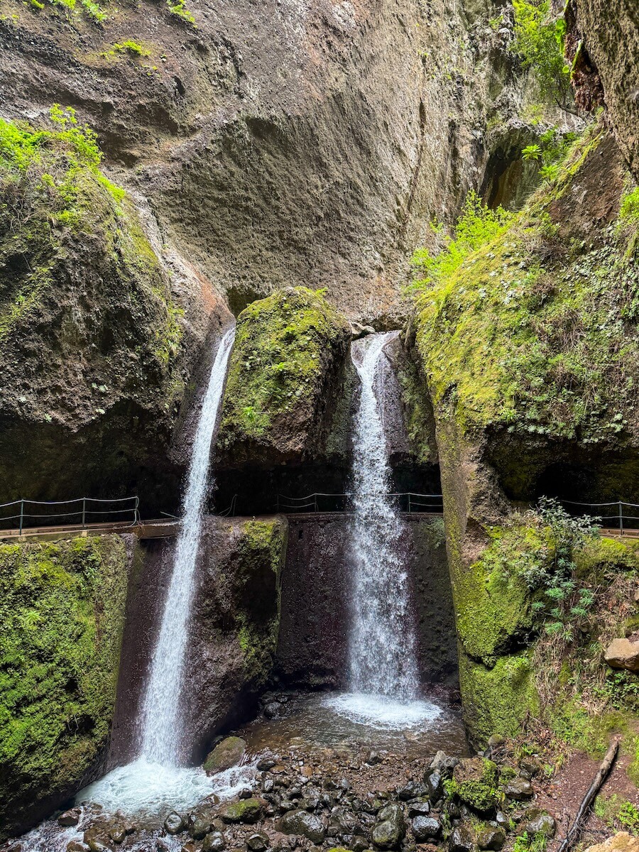 Levada do Moinho & Levada Nova Hike